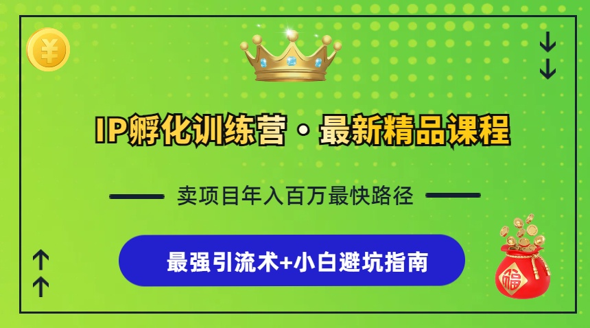 IP卵化夏令营，社交电商全过程 最牛引流术 新手避坑指南-沐颜网创资源