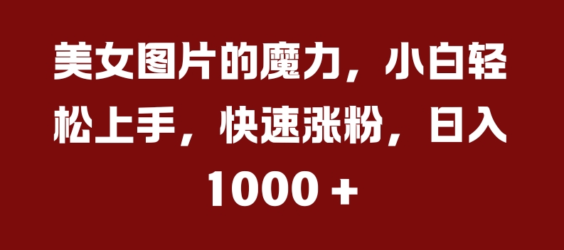 美女照片的魔力，新手快速上手，快速吸粉，日入多张【揭密】-沐颜网创资源