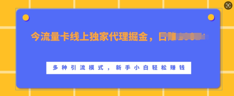 上网卡网上独家经营掘金队，日入1k ，多种多样引流方法方式，新手入门快速上手【揭密】-沐颜网创资源