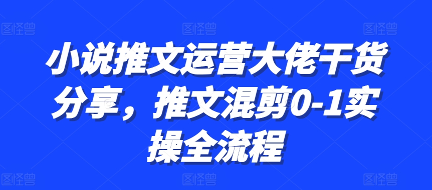 小说推文经营巨头满满干货，文章剪辑0-1实际操作全过程-沐颜网创资源