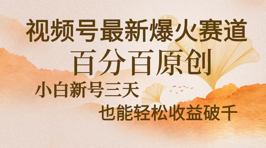 视频号最新爆火赛道，中老年粉深信不疑，百分百原创，新号三天收益轻松…-沐颜网创资源