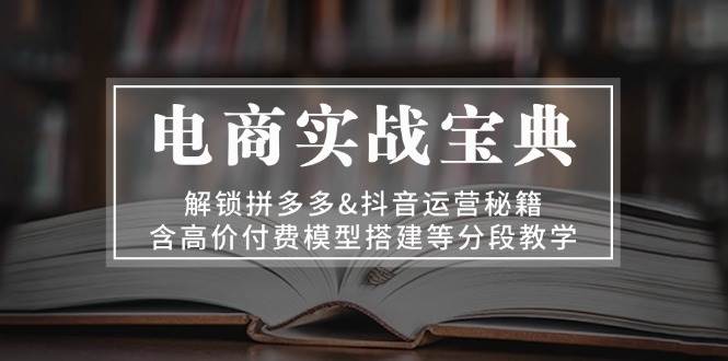 电子商务实战演练秘笈：开启拼多多平台&自媒体运营秘笈，含高价位付钱模型搭建等按段课堂教学-沐颜网创资源