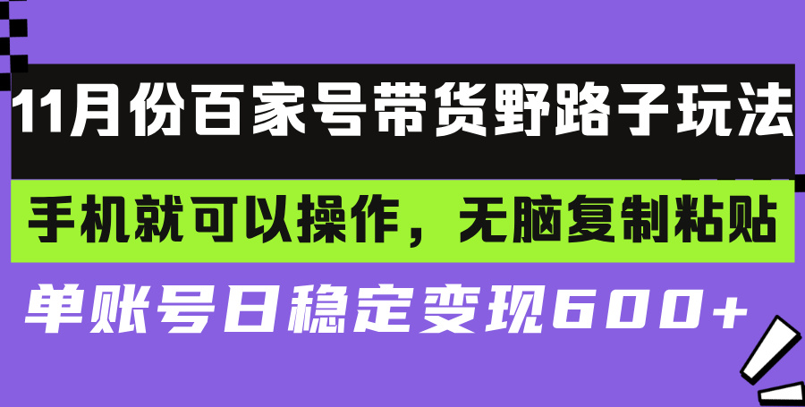 百家号带货野路子玩法 手机就可以操作，无脑复制粘贴 单账号日稳定变现…-沐颜网创资源