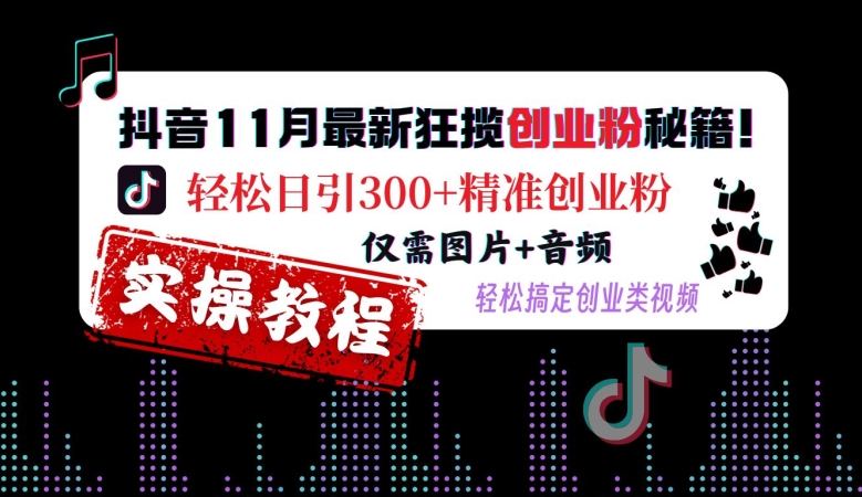 抖音视频11月全新斩获自主创业粉秘笈，轻轻松松日引300 精确自主创业粉，只需照片 声频，轻松解决自主创业类视频-沐颜网创资源