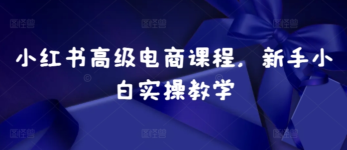 小红书高级电商课程，新手小白实操教学-沐颜网创资源