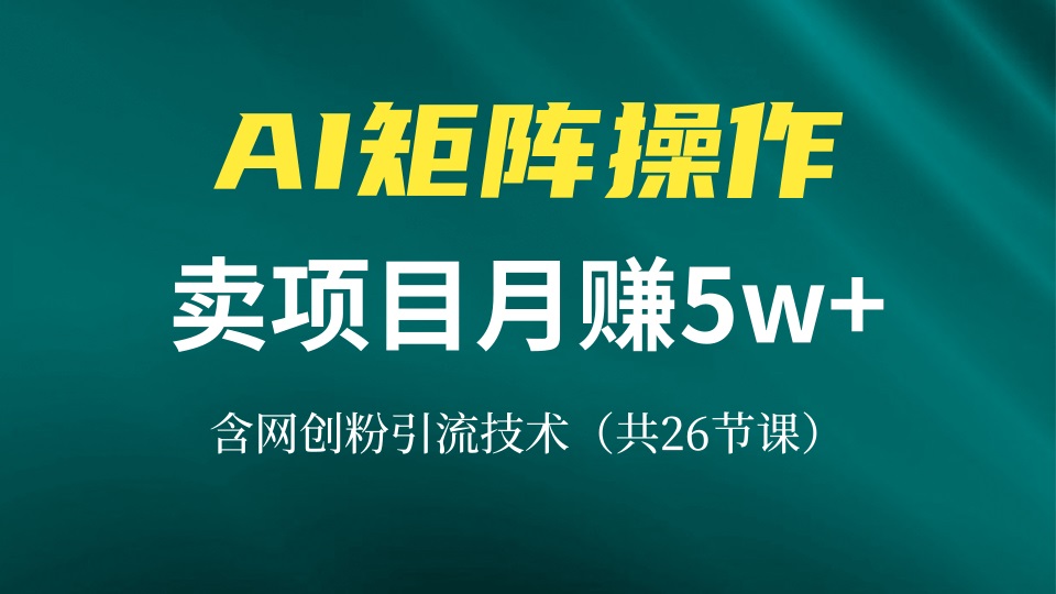 网创IP打造出课，依靠AI卖项目月赚5万 ，含引流技术-沐颜网创资源
