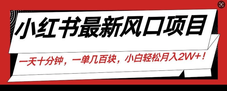 小红书最新风口项目，一天只用10分钟，一单几百块，小白简单无脑操作!-沐颜网创资源