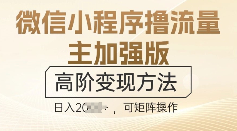 微信小程序撸流量主加强版，高阶变现方法，日收益多张-沐颜网创资源