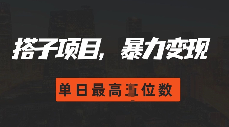2024搭子玩法，0门槛，暴力变现，单日最高破四位数【揭秘】-沐颜网创资源