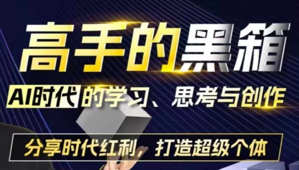 高手的黑箱：AI时代学习、思考与创作-分红时代红利，打造超级个体-沐颜网创资源