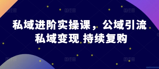 公域升阶实操课，公域流量引流方法 私域变现 不断回购-沐颜网创资源