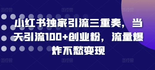 小红书独家引流三重奏，当天引流100+创业粉，流量爆炸不愁变现【揭秘】-沐颜网创资源