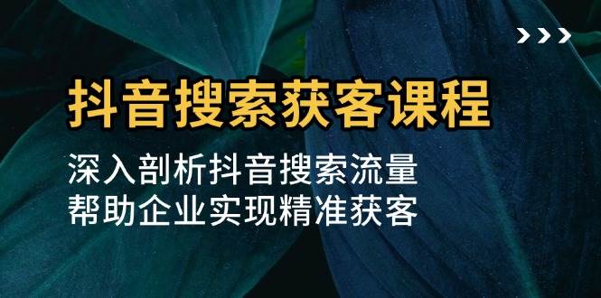 抖音搜索获客课程：深入剖析抖音搜索流量，帮助企业实现精准获客-沐颜网创资源