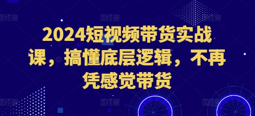2024短视频带货实战课，搞懂底层逻辑，不再凭感觉带货-沐颜网创资源