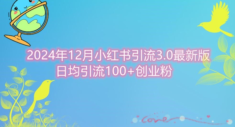 2024年12月小红书引流最新版，日均引流100+创业粉-沐颜网创资源
