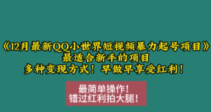 12月最新QQ小世界短视频暴力起号项目，最适合新手的项目，多种变现方式-沐颜网创资源