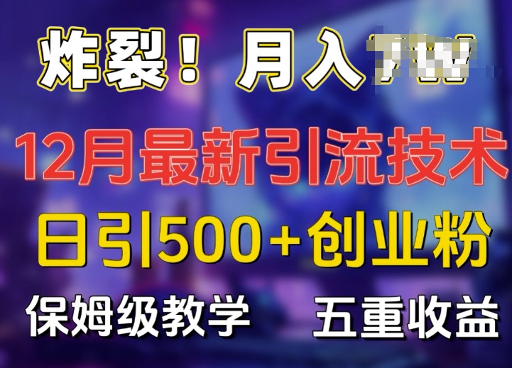 炸裂!揭秘12月最新日引流500+精准创业粉，多重收益保姆级教学-沐颜网创资源
