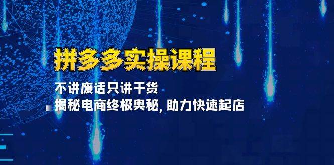 拼多多平台实操课程：不谈空话只谈干货知识, 揭密电子商务最终秘密,助推迅速出单-沐颜网创资源