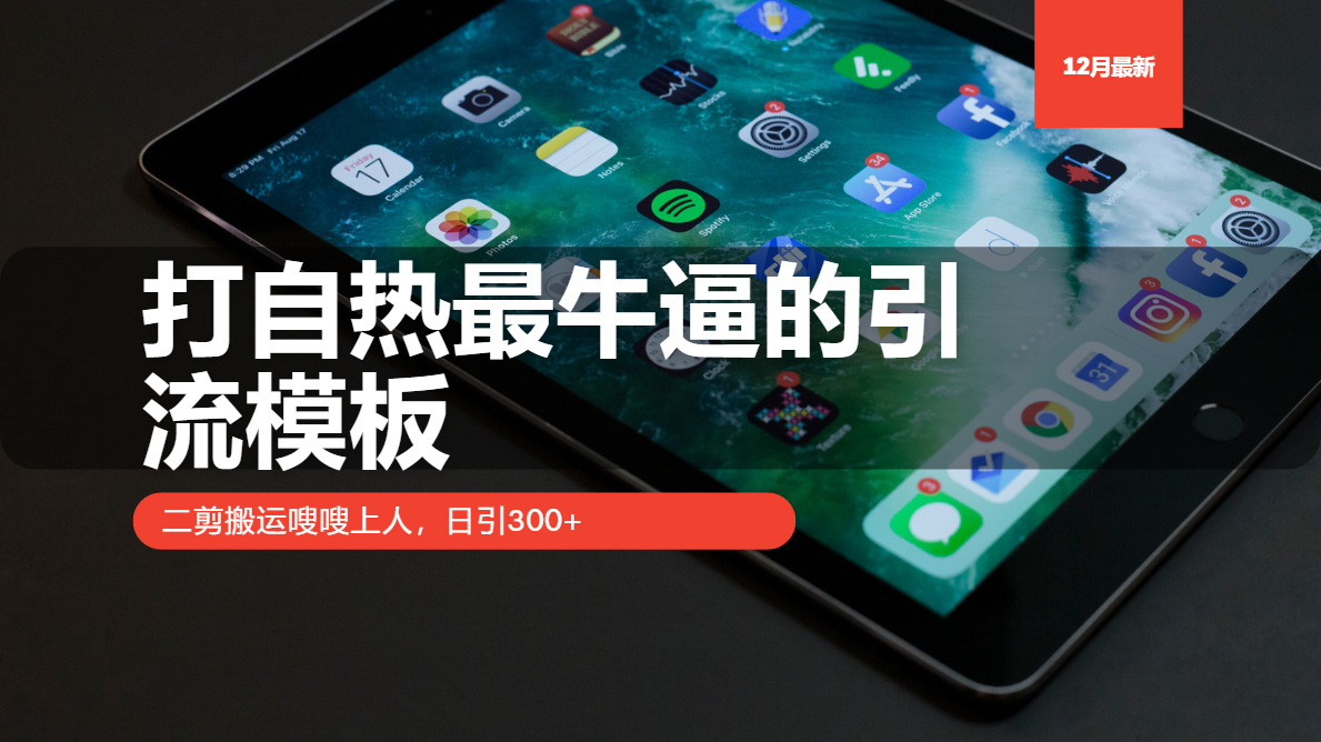 打自热最牛逼的引流模板，二剪搬运嗖嗖上人，日引300+-沐颜网创资源