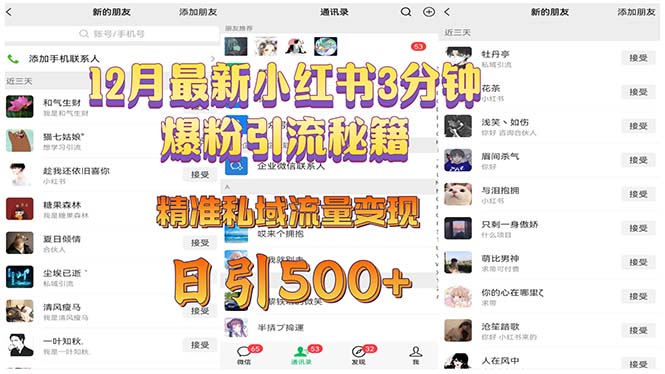 12月最新小红书3分钟爆粉引流秘籍 精准私域流量变现 日引500+-沐颜网创资源