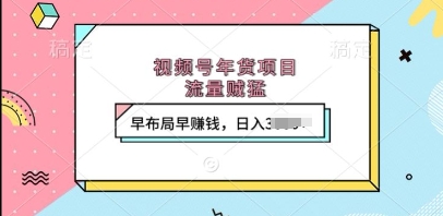 视频号年货项目，流量贼猛，早布局早挣钱，日入上k【揭秘】-沐颜网创资源