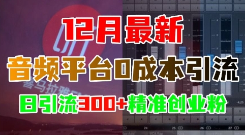 12月最新：音频平台0成本引流，日引流300+精准创业粉-沐颜网创资源
