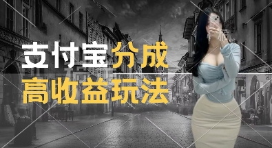 支付宝分成计划新玩法，利用交通事故视频，赚收益，轻松月入过W，操作简单【揭秘】-沐颜网创资源