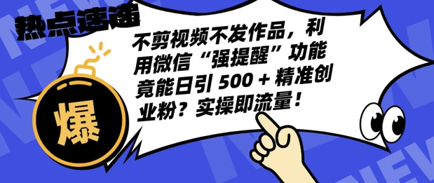 不剪视频不发作品，视频号私信日引 500 + 精准创业粉?实操即流量!-沐颜网创资源