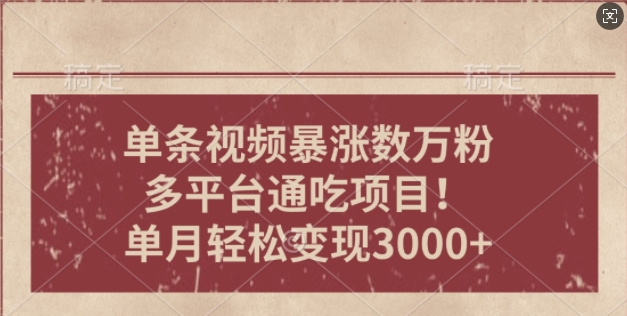 一条作品涨万粉，轻松上手，单月简单变现3000+-沐颜网创资源