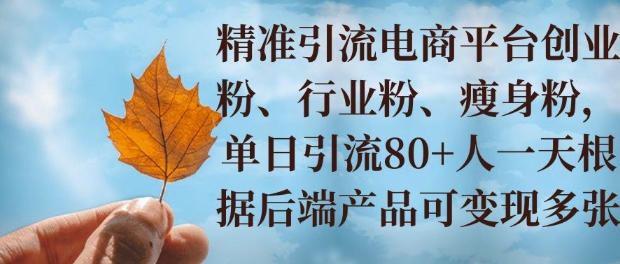 小投资撬动大收益，精准引流创业粉、行业粉，单日引流80+，一天可变现多张-沐颜网创资源