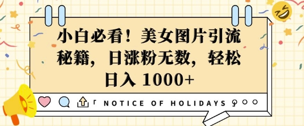 小白必看，美女图片引流秘籍，日涨粉无数，轻松日入几张【揭秘】-沐颜网创资源