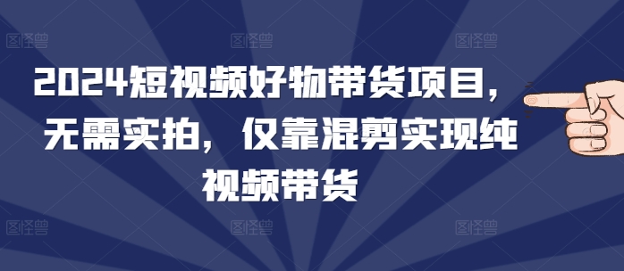 2024短视频好物带货项目，无需实拍，仅靠混剪实现纯视频带货-沐颜网创资源