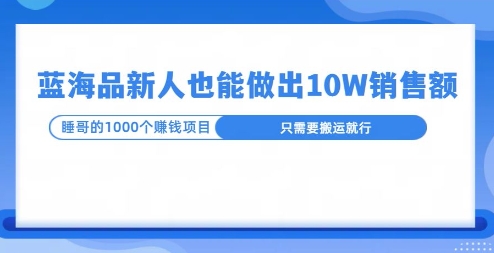 这个蓝海品，新号也能卖出10W的销售额，年底疯狂怼量就能出结果-沐颜网创资源
