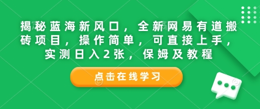 揭秘蓝海新风口，全新网易有道搬砖项目，操作简单，可直接上手，实测日入2张，保姆及教程-沐颜网创资源