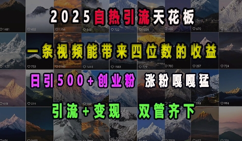 2025自热引流天花板，一条视频能带来四位数的收益，引流+变现双管齐下，日引500+创业粉，涨粉嘎嘎猛-沐颜网创资源