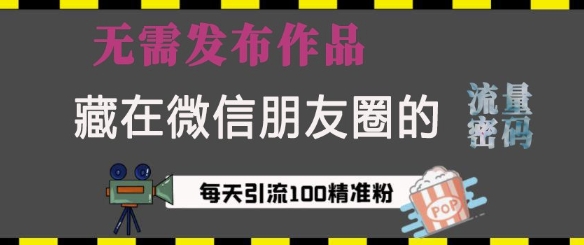 藏在微信朋友圈的流量密码，无需发布作品，单日引流100+精准创业粉【揭秘】-沐颜网创资源