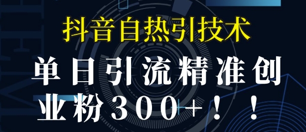 抖音自热引流，单日引流精准创业粉300+-沐颜网创资源