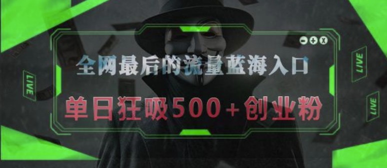 全网最后的流量蓝海入口，半小时引流50+创业粉，单日狂吸500+创业粉-沐颜网创资源