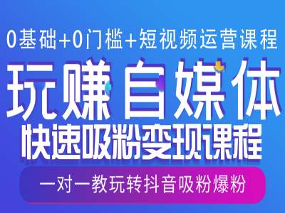 0基础+0门槛+短视频运营课程，玩赚自媒体快速吸粉变现课程，一对一教玩转抖音吸粉爆粉-沐颜网创资源