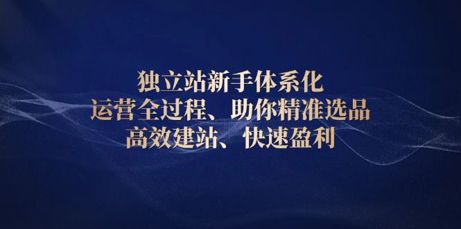 独立站新手体系化 运营全过程，助你精准选品、高效建站、快速盈利-沐颜网创资源
