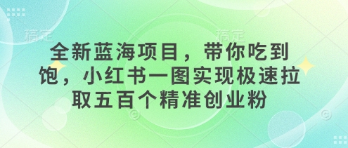 全新蓝海项目，带你吃到饱，小红书一图实现极速拉取五百个精准创业粉-沐颜网创资源
