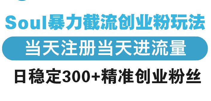 Soul暴力截流创业粉玩法，当天注册当天进流量，日稳定300+精准创业粉丝-沐颜网创资源