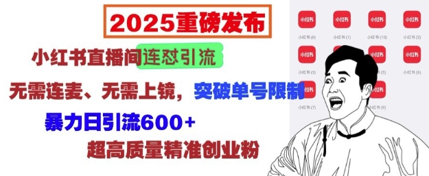 2025重磅发布：小红书直播间连怼引流，无需连麦、无需上镜，突破单号限制，暴力日引流600+-沐颜网创资源
