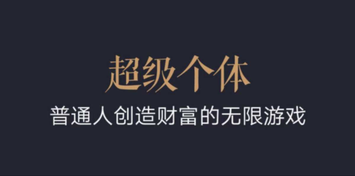 超级个体：2024-2025翻盘指南，普通人创造财富的无限游戏-沐颜网创资源