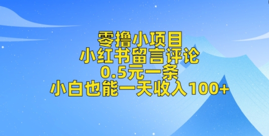 零撸小项目，小红书留言评论，0.5元一条，小白也能一天收入100+-沐颜网创资源