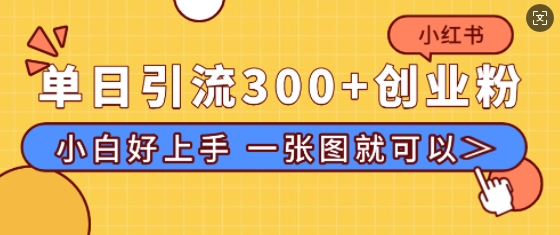 小红书单日引流300+创业粉，“简单粗暴”引流法，小白好上手，私信回不完-沐颜网创资源