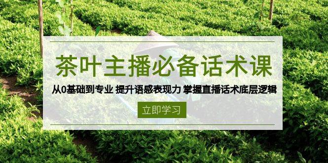 茶网络主播必不可少销售话术课 从0基本到专业 提高英语语感感染力 把握直播带货话术底层思维-沐颜网创资源