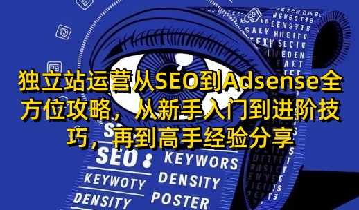 独立站运营从SEO到Adsense全方位攻略，从新手入门到进阶技巧，再到高手经验分享-沐颜网创资源