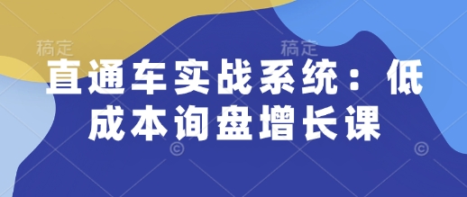 直通车实战系统：低成本询盘增长课，让个人通过技能实现升职加薪，让企业低成本获客，订单源源不断-沐颜网创资源