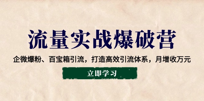 总流量实战演练工程爆破营：企业微信涨粉、宝盒引流方法，打造高效引流方法管理体系，月创收万余元-沐颜网创资源
